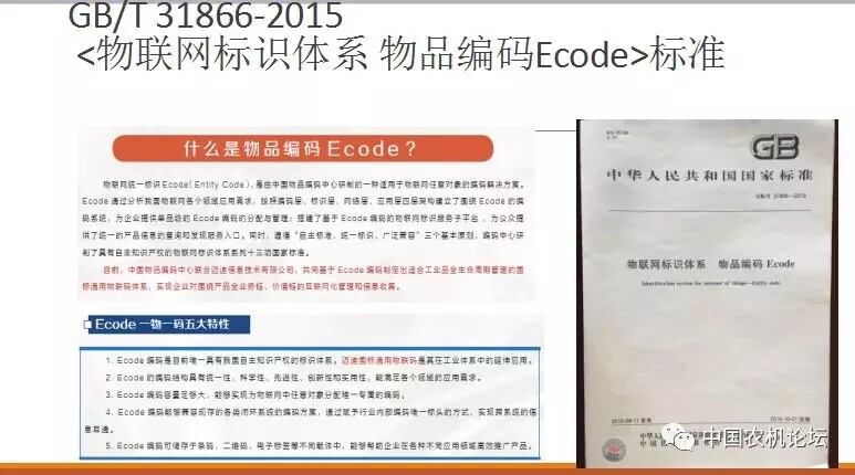 640.webp (13).jpg