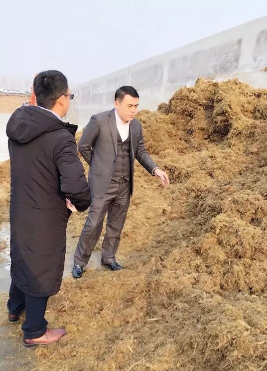 640.webp (29).jpg 640.webp (29).jpg