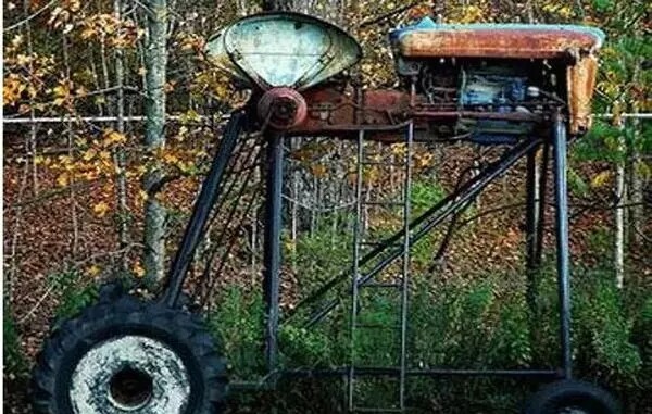 640.webp (6).jpg