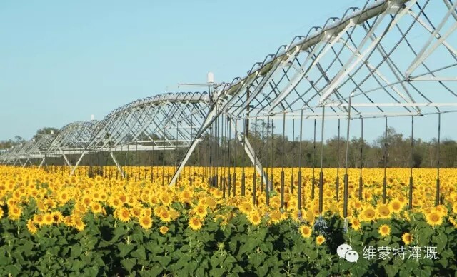 640.webp (19).jpg 640.webp (19).jpg