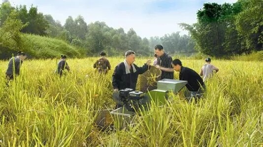 640.webp (5).jpg 640.webp (5).jpg