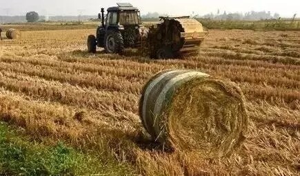 640.webp (8).jpg 640.webp (8).jpg