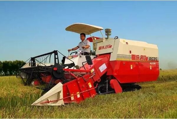 640.webp (11).jpg 640.webp (11).jpg