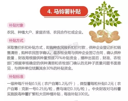 640.webp (3).jpg