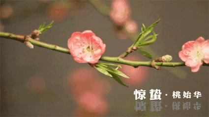 640 (1).gif