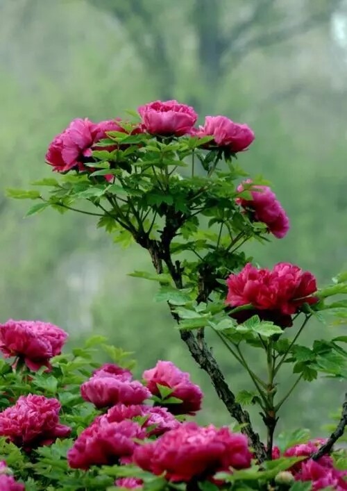 640.webp (30).jpg