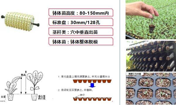 u_14170617_1359.png!w640qm.jpg