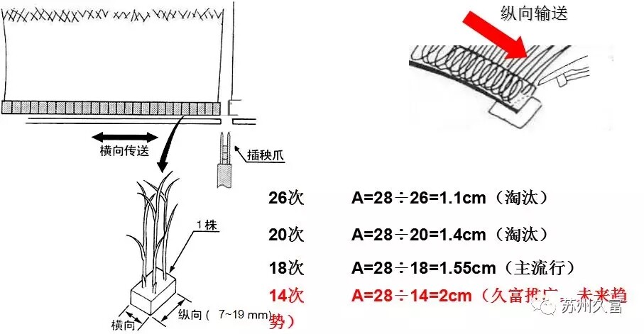 640.webp (2).jpg