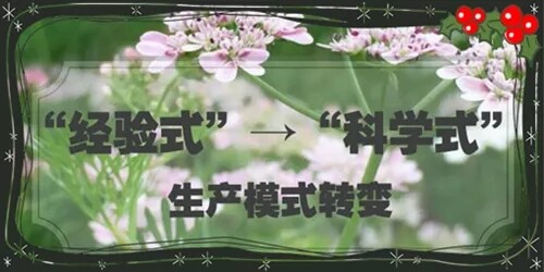 640.webp (11).jpg