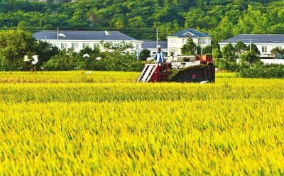 宁波33.jpg