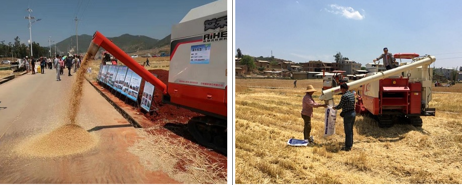 20180503190728139 (1).png