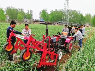 河南省中牟县：大蒜机械化收获现场演示会召开.jpg