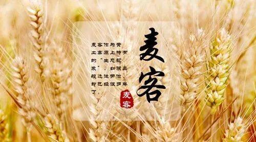 ab774cfa2dca4d7ca33852f0b137844f.jpg