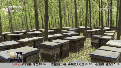 640 (10).gif