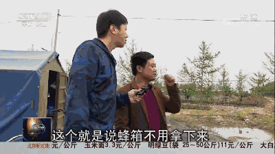 640 (11).gif