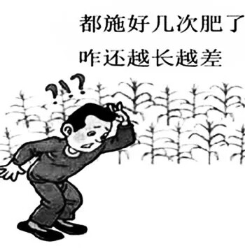 640.webp (25).jpg