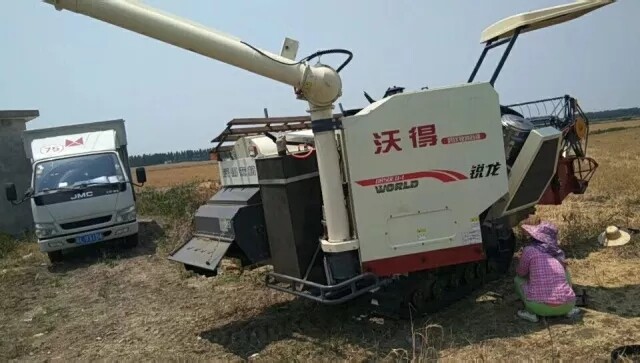 640.webp (58).jpg 640.webp (58).jpg