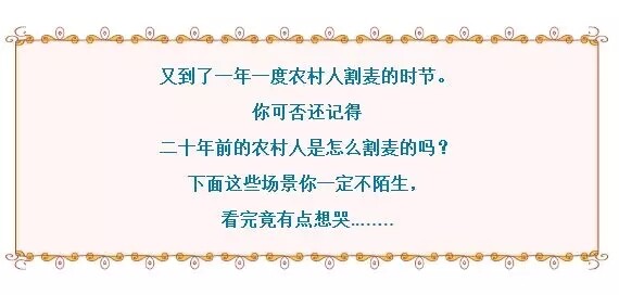 640.webp (33).jpg