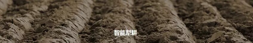 640.webp (12).jpg