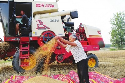 河南：农机奋战“三夏”大忙.jpg