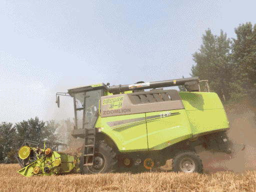 640 (5).gif