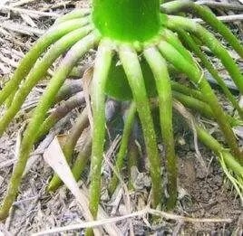 640.webp (10).jpg