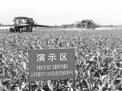 减药新技术龙江大比武11.jpg