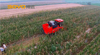640 (1).gif