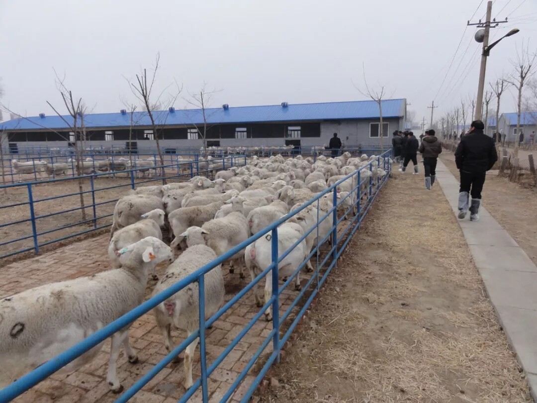 640.webp (31).jpg 640.webp (31).jpg