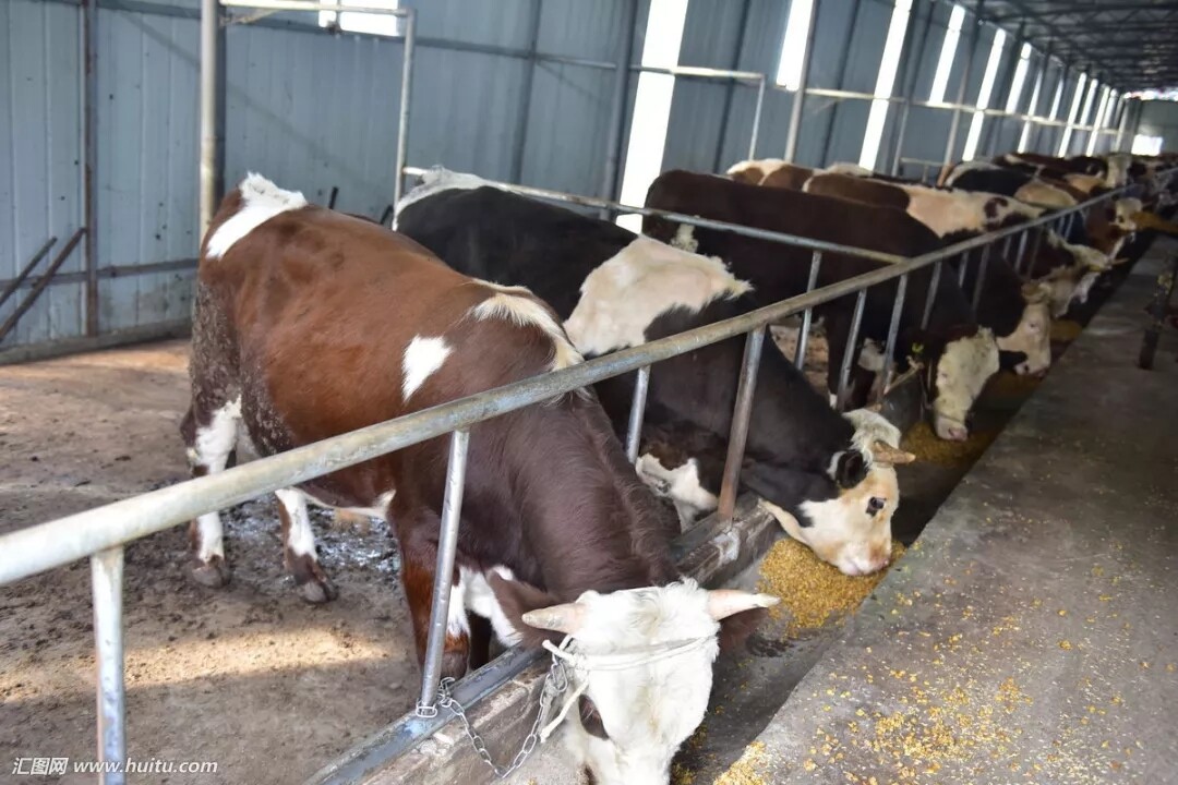 640.webp (32).jpg 640.webp (32).jpg