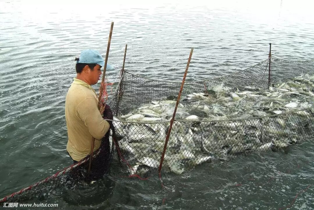 640.webp (33).jpg 640.webp (33).jpg