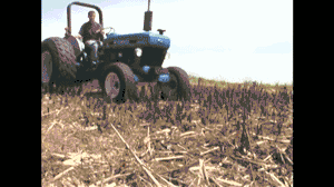 640 (1).gif