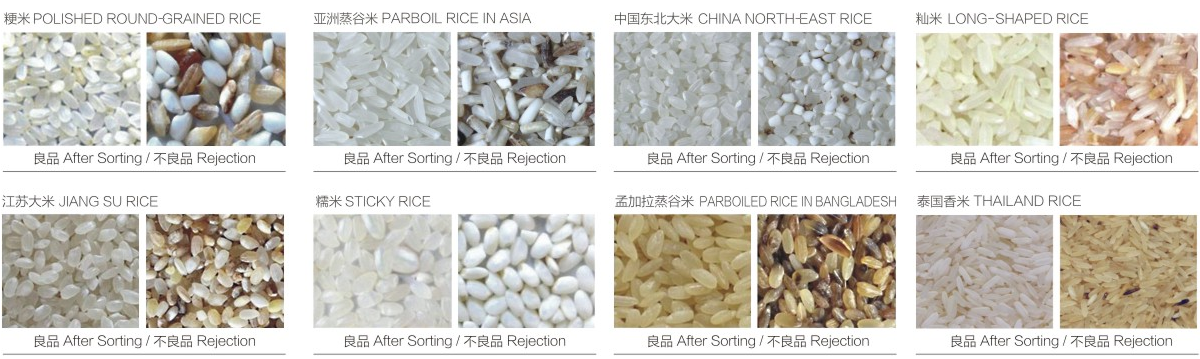 lingyu-img.png