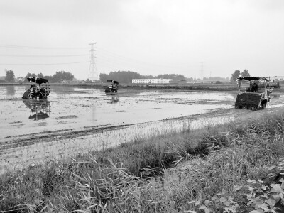 补强短板种田更高效.jpg