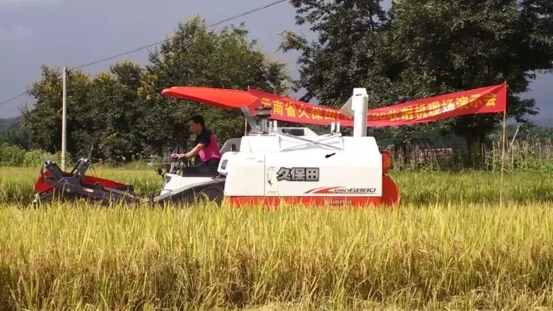 640.webp (10).jpg 640.webp (10).jpg