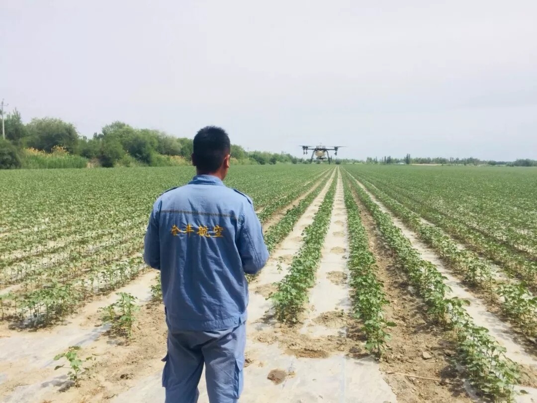 640.webp (10).jpg 640.webp (10).jpg