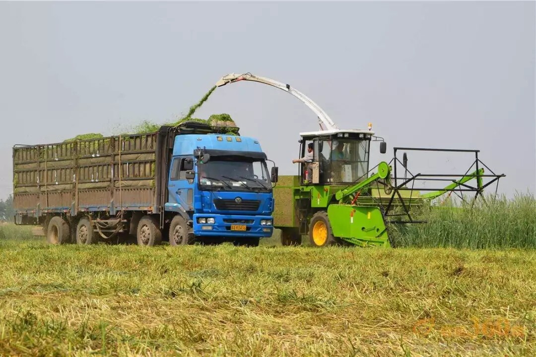 640.webp (41).jpg 640.webp (41).jpg