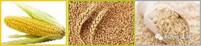 640.webp (19).jpg