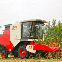 mc-h80-field-corn.png
