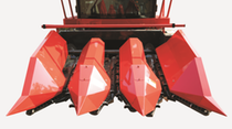 cps30-header.png