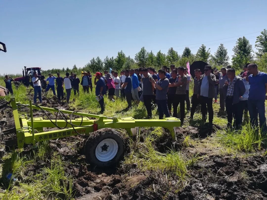 640 (1).webp (90).jpg