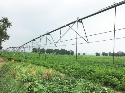 农机租赁让沽源小土豆焕发大生机22.jpg
