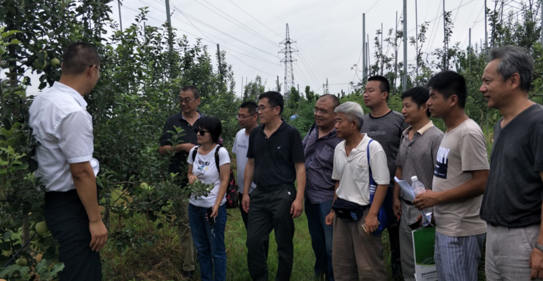 222_gaitubao_com_1118x579.png