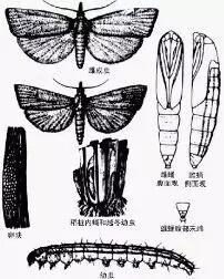 640.webp (25).jpg