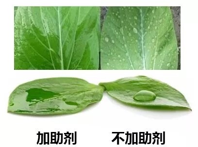 640.webp (71).jpg