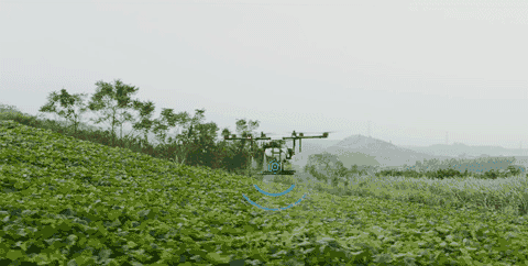 640 (1).gif