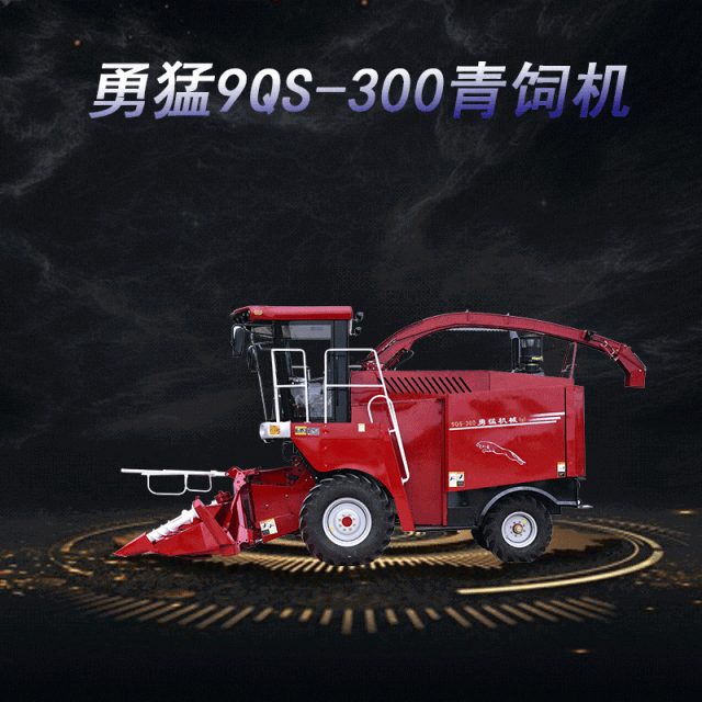 640 (5).gif