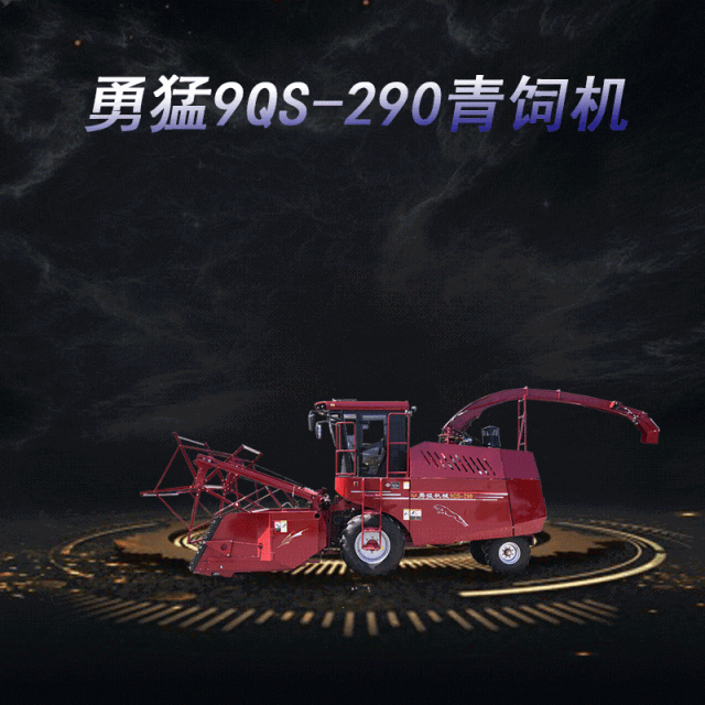640 (8).gif