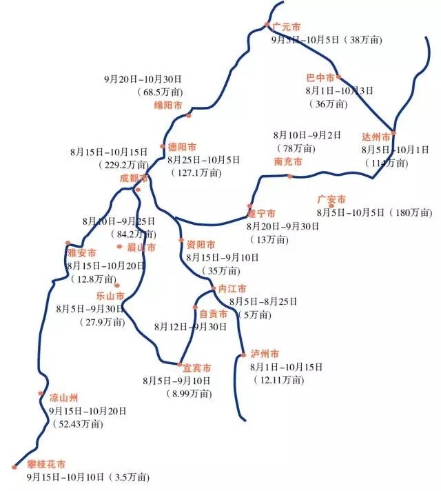 640.webp (72).jpg