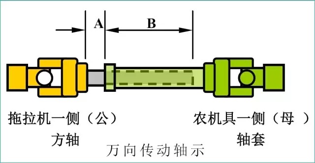640.webp (9).jpg